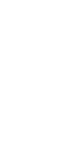 Zoocasa brush stroke