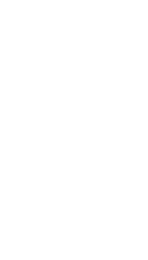Zoocasa brush stroke
